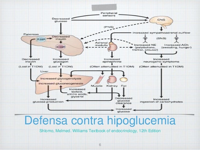 Abordaje diagnostico y tratamiento Hipoglucemia Abordaje diagnostico y tratamiento Hipoglucemia