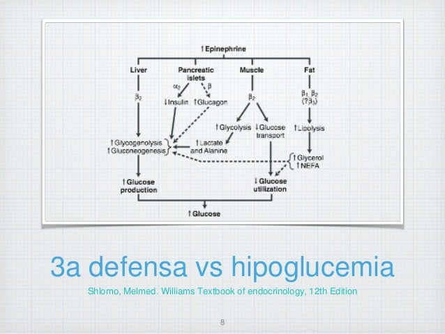 Abordaje diagnostico y tratamiento Hipoglucemia Abordaje diagnostico y tratamiento Hipoglucemia