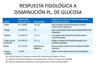 RESPUESTA FISIOLÓGICA A
DISMINUCIÓN PL. DE GLUCOSA
Ra: índice de aparición de glucosa, producción de glucosa por hígado y riñones.
Rc: índice de eliminación de glucosa, uso de glucosa en relación con glucemia ambiente.
Rd: índice de desaparición de glucosa, uso de glucosa por cerebro y demás tejidos.
 