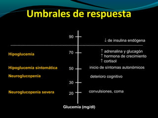 Umbrales de respuesta
90
70
50
30
20
↓ de insulina endógena
↑ adrenalina y glucagón
↑ hormona de crecimiento
↑ cortisol
inicio de síntomas autonómicos
deterioro cognitivo
convulsiones, coma
Hipoglucemia
Hipoglucemia sintomática
Neuroglucopenia
Neuroglucopenia severa
Glucemia (mg/dl)
 