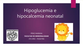 Hipoglucemia e
hipocalcemia neonatal
PÉREZ MARIANA
FACULTAD DE MEDICINA/UNAM
4TO AÑO – PEDIATRÍA
 