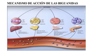 HIPOGLUCEMIANTES ORALES.pptx