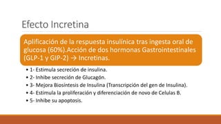 Efecto Incretina
Aplificación de la respuesta insulínica tras ingesta oral de
glucosa (60%).Acción de dos hormonas Gastrointestinales
(GLP-1 y GIP-2) → Incretinas.
• 1- Estimula secreción de insulina.
• 2- Inhibe secreción de Glucagón.
• 3- Mejora Biosíntesis de Insulina (Transcripción del gen de Insulina).
• 4- Estimula la proliferación y diferenciación de novo de Celulas B.
• 5- Inhibe su apoptosis.
 