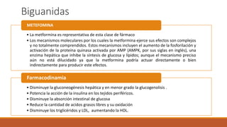 Biguanidas
• La metformina es representativa de esta clase de fármaco
• Los mecanismos moleculares por los cuales la metformina ejerce sus efectos son complejos
y no totalmente comprendidos. Estos mecanismos incluyen el aumento de la fosforilación y
activación de la proteína quinasa activada por AMP (AMPK, por sus siglas en inglés), una
enzima hepática que inhibe la síntesis de glucosa y lípidos; aunque el mecanismo preciso
aún no está dilucidado ya que la metformina podría actuar directamente o bien
indirectamente para producir este efectos.
METEFOMINA
• Disminuye la gluconeogénesis hepática y en menor grado la glucogenolisis .
• Potencia la acción de la insulina en los tejidos periféricos.
• Disminuye la absorción intestinal de glucosa
• Reduce la cantidad de acidos grasos libres y su oxidación
• Disminuye los triglicéridos y LDL, aumentando la HDL.
Farmacodinamia
 