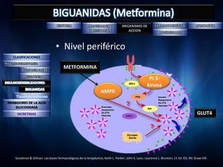 • Nivel periférico
                                      METFORMINA

                                                                                                   PI 3-
                                                                                                  kinasa
                                                                 AMPK
     Tiazolidinedionas
INHIBIDORES DE LA ALFA
     GLUCOSIDASA
                                                                                                                                      GLUT4




    Goodman & Gilman. Las bases farmacológicas de la terapéutica; Keith L. Parker; John S. Lazo; Laurence L. Brunton, 11 Ed. ED, Mc Graw Hill.
 