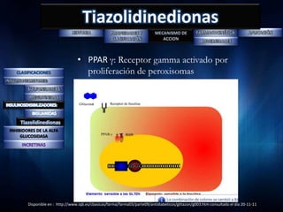 Tiazolidinedionas

                                  • PPAR γ: Receptor gamma activado por
                                    proliferación de peroxisomas




     Tiazolidinedionas
INHIBIDORES DE LA ALFA
     GLUCOSIDASA




        Disponible en : http://www.iqb.es/cbasicas/farma/farma03/parte09/antidiabeticos/glitazon/g003.htm consultado el día 20-11-11
 