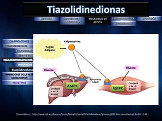 Tiazolidinedionas




     Tiazolidinedionas
INHIBIDORES DE LA ALFA
     GLUCOSIDASA


                                                        AMPK
                                                                                                   AMPK




        Disponible en : http://www.iqb.es/cbasicas/farma/farma03/parte09/antidiabeticos/glitazon/g003.htm consultado el día 20-11-11
 