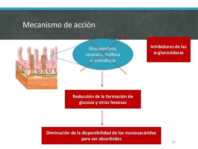 Hipoglucemiantes orales Hipoglucemiantes orales