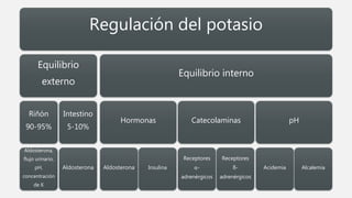 Regulación del potasio
Equilibrio
externo
Riñón
90-95%
Aldosterona,
flujo urinario,
pH,
concentración
de K
Intestino
5-10%
Aldosterona
Equilibrio interno
Hormonas
Aldosterona Insulina
Catecolaminas
Receptores
α-
adrenérgicos
Receptores
ß-
adrenérgicos
pH
Acidemia Alcalemia
 