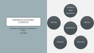 MANIFESTACIONES
CLÍNICAS
Hipokalemia
Corazón y
vasos
sanguíneos
Nervios
MúsculosIntestino
Riñones
Se afecta el potencial de membrana en
reposo
<2.5 mEq/L
 