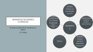 MANIFESTACIONES
CLÍNICAS
Hipokalemi
a
Arritmias
cardíacas con
anormalidades
en el ECG
Alteraciones de la
conducción
(parálisis o
hiperexcitabilidad
)
Debilidad
muscular,
calambres,
rabdomiólisis,
mioglobinuria
Diarrea
HTA, alteración
en reabsorción de
Na, ↓capacidad
de concentración,
↑producción de
amonio,
↑reabsorción de
HCO3Se afecta el potencial de membrana en
reposo
<2.5 mEq/L
 