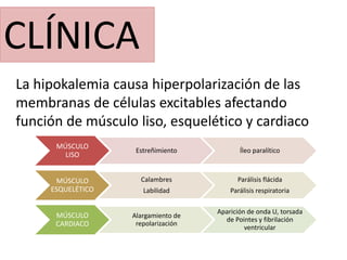 CLÍNICA
La hipokalemia causa hiperpolarización de las
membranas de células excitables afectando
función de músculo liso, esquelético y cardiaco
MÚSCULO
LISO
Estreñimiento Íleo paralítico
MÚSCULO
ESQUELÉTICO
Calambres
Labilidad
Parálisis flácida
Parálisis respiratoria
MÚSCULO
CARDIACO
Alargamiento de
repolarización
Aparición de onda U, torsada
de Pointes y fibrilación
ventricular
 