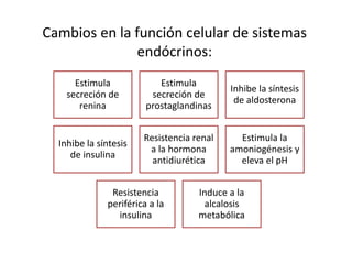 Cambios en la función celular de sistemas
endócrinos:
Estimula
secreción de
renina
Estimula
secreción de
prostaglandinas
Inhibe la síntesis
de aldosterona
Inhibe la síntesis
de insulina
Resistencia renal
a la hormona
antidiurética
Estimula la
amoniogénesis y
eleva el pH
Resistencia
periférica a la
insulina
Induce a la
alcalosis
metabólica
 