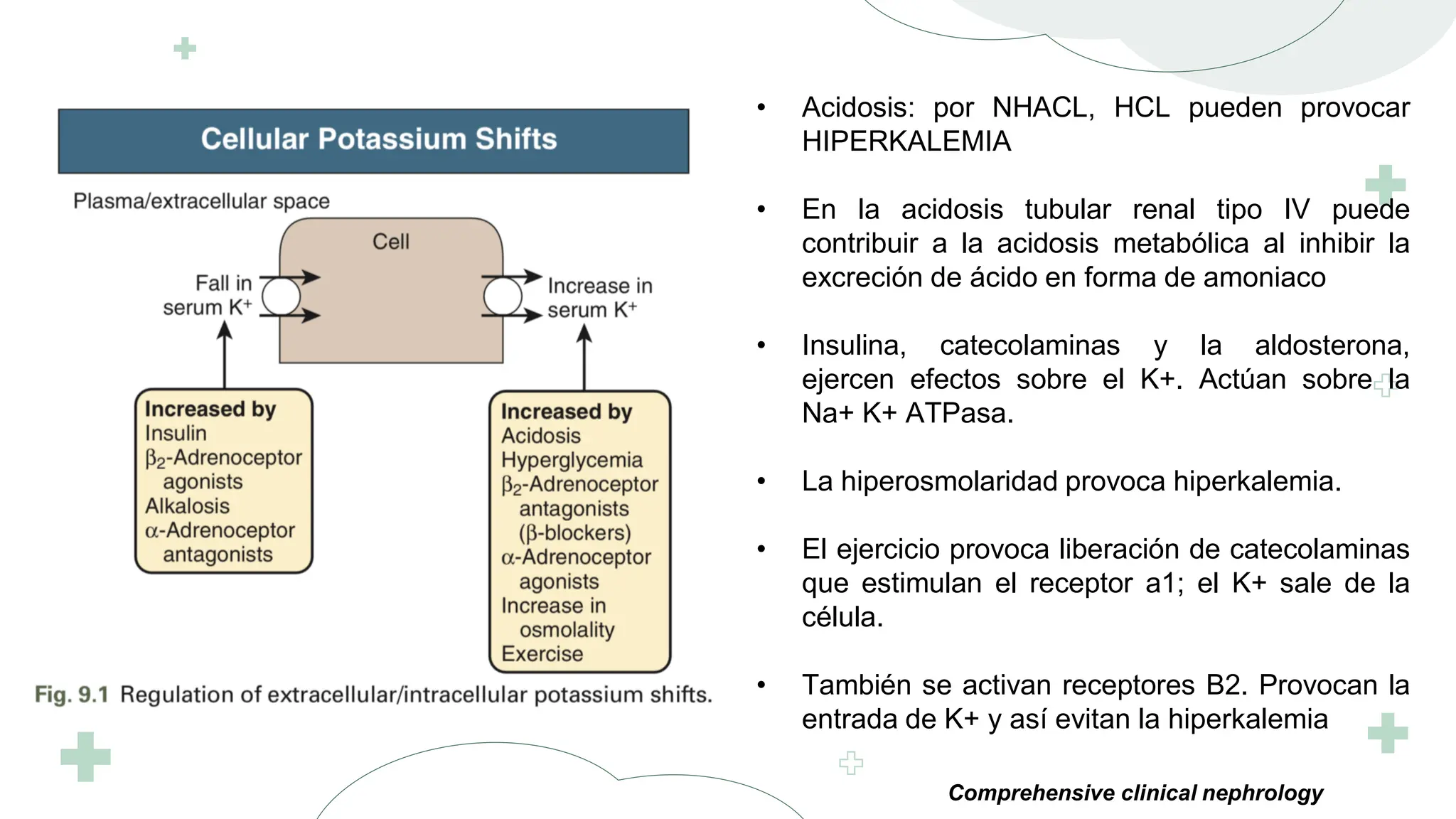 HIPOKALEMIA E HIPERKALEMIA Presentaci n 1 pdf