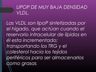 LIPOP DE MUY BAJA DENSIDAD
VLDL.
 Las VLDL son lipoP sintetizadas por
el hígado, que actúan cuando el
reservorio intracelular de lípidos en
él esta incrementado;
transportando los TRG y el
colesterol hacia los tejidos
periféricos para ser almacenarlos
como grasas.
 