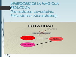 INHIBIDORES DE LA HMG-CoA
REDUCTASA
(Simvastatina, Lovastatina,
Perivastatina, Atorvastatina).
 