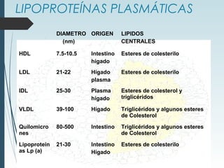 LIPOPROTEÍNAS PLASMÁTICAS
DIAMETRO
(nm)
ORIGEN LIPIDOS
CENTRALES
HDL 7.5-10.5 Intestino
hígado
Esteres de colesterilo
LDL 21-22 Hígado
plasma
Esteres de colesterilo
IDL 25-30 Plasma
hígado
Esteres de colesterol y
triglicéridos
VLDL 39-100 Hígado Triglicéridos y algunos esteres
de Colesterol
Quilomicro
nes
80-500 Intestino Triglicéridos y algunos esteres
de Colesterol
Lipoproteín
as Lp (a)
21-30 Intestino
Hígado
Esteres de colesterilo
 