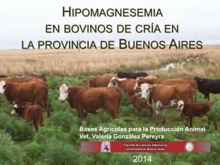 HIPOMAGNESEMIA 
EN BOVINOS DE CRÍA EN 
LA PROVINCIA DE BUENOS AIRES 
Bases Agrícolas para la Producción Animal 
Vet. Valeria González Pereyra 
2014 
 