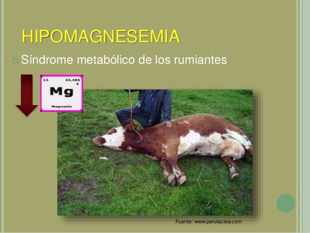 Glutati n - COENZIMA .COM