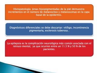 Histopatología: áreas hipopigmentadas de la piel demuestra 
incrementos en el número de melanocitos y melanosomas en la capa 
basal de la epidermis. 
Diagnósticos diferenciales se debe descartar: vitíligo, incontinencia 
pigmentaria, esclerosis tuberosa . 
La epilepsia es la complicación neurológica más común asociada con el 
retraso mental, ya que ocurren entre un 11.5 % y 50 % de los 
pacientes. 
 