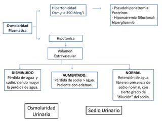 Hipertonicidad                 - Pseudohiponatremia:
                       Osm p > 290 Meq/L              Proteinas.
                                                      - Hiponatremia Dilucional:
                                                      Hiperglicemia
Osmolaridad
 Plasmatica
                          Hipotonica


                          Volumen
                        Extravascular



    DISMINUIDO                                                 NORMAL
                             AUMENTADO:
  Pérdida de agua y                                       Retención de agua
                        Pérdida de sodio > agua.
sodio, siendo mayor                                     libre en presencia de
                         Paciente con edemas.
 la pérdida de agua.                                      sodio normal, con
                                                            cierto grado de
                                                         “dilución” del sodio.

            Osmolaridad                     Sodio Urinario
              Urinaria
 