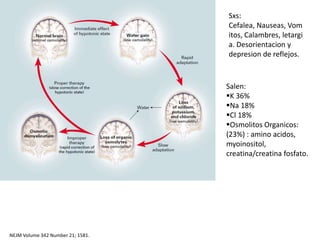 Sxs:
                                   Cefalea, Nauseas, Vom
                                   itos, Calambres, letargi
                                   a. Desorientacion y
                                   depresion de reflejos.



                                   Salen:
                                   K 36%
                                   Na 18%
                                   Cl 18%
                                   Osmolitos Organicos:
                                   (23%) : amino acidos,
                                   myoinositol,
                                   creatina/creatina fosfato.




NEJM Volume 342 Number 21; 1581.
 