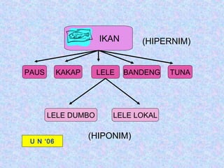 IKAN      (HIPERNIM)


PAUS       KAKAP    LELE    BANDENG   TUNA




       LELE DUMBO       LELE LOKAL

                   (HIPONIM)
 U N ‘06
 
