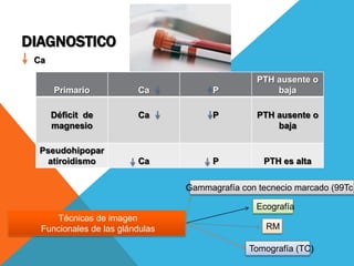 DIAGNOSTICO
 Ca

                                                 PTH ausente o
      Primario           Ca            P             baja

      Déficit de         Ca            P         PTH ausente o
      magnesio                                       baja

  Pseudohipopar
    atiroidismo          Ca            P          PTH es alta

                                 Gammagrafía con tecnecio marcado (99Tc)

                                                 Ecografía
     Técnicas de imagen
  Funcionales de las glándulas                     RM

                                               Tomografía (TC)
 