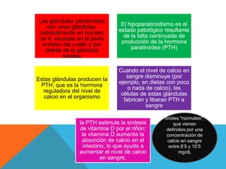 Las glándulas paratiroides
   son unas glándulas,          El hipoparatiroidismo es el
habitualmente en número        estado patológico resultante
de 4, situadas en la parte       de la falta continuada de
 anterior del cuello y por      producción de la hormona
  detrás de la glándula             paratiroidea (PTH)
          tiroides

                               Cuando el nivel de calcio en
                                  sangre disminuye (por
Estas glándulas producen la
                               ejemplo, en dietas con poco
 PTH, que es la hormona
                                   o nada de calcio), las
  reguladora del nivel de
                                células de estas glándulas
   calcio en el organismo
                                 fabrican y liberan PTH a
                                          sangre

                                                 límites "normales",
                la PTH estimula la síntesis           que vienen
                de vitamina D por el riñón;       definidos por una
                 la vitamina D aumenta la         concentración de
                 absorción de calcio en el         calcio en sangre
                 intestino, lo que ayuda a         entre 8’5 y 10’5
                aumentar el nivel de calcio             mg/dL
                         en sangre.
 