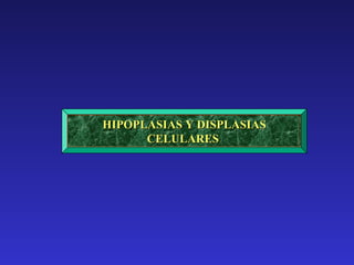 HIPOPLASIAS Y DISPLASIAS
      CELULARES
 