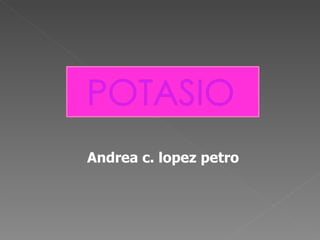 Andrea c. lopez petro 