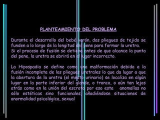 PLANTEAMIENTO DEL PROBLEMA

Durante el desarrollo del bebé varón, dos pliegues de tejido se
funden a lo largo de la longitud del pene para formar la uretra.
Si el proceso de fusión se detiene antes de que alcance la punta
del pene, la uretra se abrirá en el lugar incorrecto.

La Hipospadia se define como una malformación debida a la
fusión incompleta de los pliegues uretrales lo que da lugar a que
la abertura de la uretra (el meato urinario) se localiza en algún
lugar en la parte inferior del glande, o tronco, o aún tan lejos
atrás como en la unión del escroto por eso esta y anomalías no
sólo estéticas sino funcionales, añadiéndose situaciones de
anormalidad psicológica, sexual
 