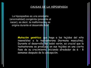 CAUSAS DE LA HIPOSPADIA


  La hipospadias es una anomalía 
(anormalidad) congénita (presente al 
 nacer), es decir, la malformación se 
  origina durante el desarrollo fetal



       Mutación genética: que haga a los tejidos del niño
       insensibles a la testosterona (hormona masculina).
       Durante el desarrollo del bebé varón, es crucial que la
       testosterona se produzca en sus tejidos en una cierta
       fase de su crecimiento, iniciando alrededor de 6 - 8
       semanas después de la concepción.
 
