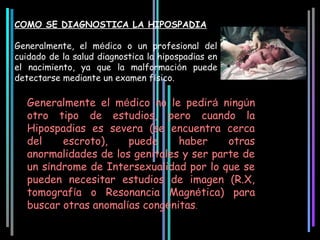 COMO SE DIAGNOSTICA LA HIPOSPADIA

Generalmente, el médico o un profesional del
cuidado de la salud diagnostica la hipospadias en
el nacimiento, ya que la malformación puede
detectarse mediante un examen físico.

   Generalmente el médico no le pedirá ningún
   otro tipo de estudios, pero cuando la
   Hipospadias es severa (se encuentra cerca
   del    escroto),    puede     haber     otras
   anormalidades de los genitales y ser parte de
   un síndrome de Intersexualidad por lo que se
   pueden necesitar estudios de imagen (R.X,
   tomografía o Resonancia Magnética) para
   buscar otras anomalías congénitas.
 