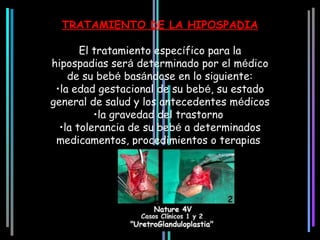 TRATAMIENTO DE LA HIPOSPADIA

       El tratamiento específico para la
hipospadias será determinado por el médico
    de su bebé basándose en lo siguiente:
 •la edad gestacional de su bebé, su estado
general de salud y los antecedentes médicos
          •la gravedad del trastorno
  •la tolerancia de su bebé a determinados
 medicamentos, procedimientos o terapias
 