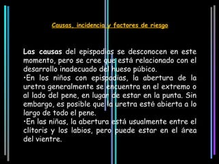 Causas, incidencia y factores de riesgo



Las causas del epispadias se desconocen en este
momento, pero se cree que está relacionado con el
desarrollo inadecuado del hueso púbico.
•En los niños con epispadias, la abertura de la
uretra generalmente se encuentra en el extremo o
al lado del pene, en lugar de estar en la punta. Sin
embargo, es posible que la uretra esté abierta a lo
largo de todo el pene.
•En las niñas, la abertura está usualmente entre el
clítoris y los labios, pero puede estar en el área
del vientre.
 