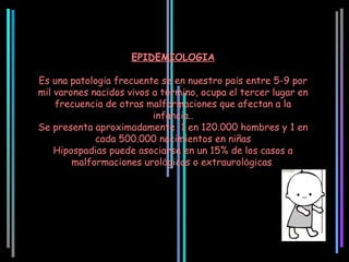 EPIDEMIOLOGIA

Es una patología frecuente se en nuestro país entre 5-9 por
mil varones nacidos vivos a término, ocupa el tercer lugar en
    frecuencia de otras malformaciones que afectan a la
                          infancia..
Se presenta aproximadamente 1 en 120.000 hombres y 1 en
             cada 500.000 nacimientos en niñas
    Hipospadias puede asociarse en un 15% de los casos a
        malformaciones urológicas o extraurológicas.
 
