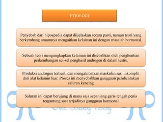 ETIOLOGI
Penyebab dari hipospadia dapat diijelaskan secara pasti, namun teori yang
berkembang umumnya mengaitkan kelainan ini dengan masalah hormonal.
Sebuah teori mengungkapkan kelainan ini disebabkan oleh penghentian
perkembangan sel-sel penghasil androgen di dalam testis,
Produksi androgen terhenti dan mengakibatkan maskulinisasi inkomplit
dari alat kelamin luar. Proses ini menyebabkan gangguan pembentukan
saluran kencing
Saluran ini dapat berujung di mana saja sepanjang garis tengah penis
tergantung saat terjadinya gangguan hormonal
 