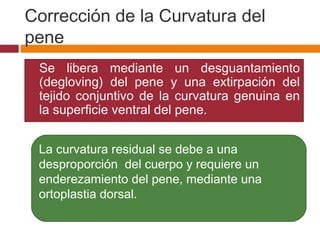 Corrección de la Curvatura del
pene
 Se libera mediante un desguantamiento
(degloving) del pene y una extirpación del
tejido conjuntivo de la curvatura genuina en
la superficie ventral del pene.
La curvatura residual se debe a una
desproporción del cuerpo y requiere un
enderezamiento del pene, mediante una
ortoplastia dorsal.
 