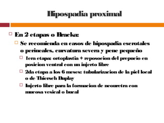 Hipospadia proximal
 En 2 etapas o Bracka:
 Se recomienda en casos de hipospadia escrotales
o perineales, curvatura severa y pene pequeño
 1era etapa: ortoplastia + reposocion del prepucio en
posicion ventral con un injerto libre
 2da etapa a los 6 meses: tubularizacion de la piel local
o de Thiersch Duplay
 Injerto libre para la formacion de neouretra con
mucosa vesical o bucal
 