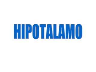 HIPOTALAMO 