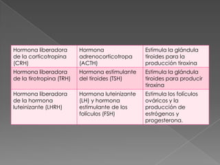 Líneas de comunicación del hipotálamoRecibe información desde el resto del cuerpo a través de:Conexiones nerviosasTorrente sanguíneo Liquido cefalorraquídeoLas neuronas de los núcleos hipotalámicos responden y ejercen  su control a través de las mismas rutasEl liquido cefalorraquídeo puede servir como conducto entre las células neurosecretoras del hipotálamo y las de sitios distantes del cerebro