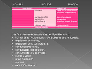 NOMBRE 		NÚCLEOS 		FUNCIÓNLas funciones más importantes del hipotálamo son: control de la neurohipófisis, control de la adenohipófisis, 