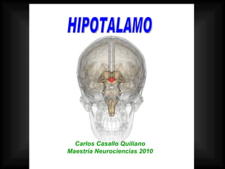 HIPOTALAMO Carlos Casallo Quiliano Maestria Neurociencias 2010 
