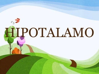 HIPOTALAMO
 