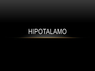 HIPOTALAMO 
 