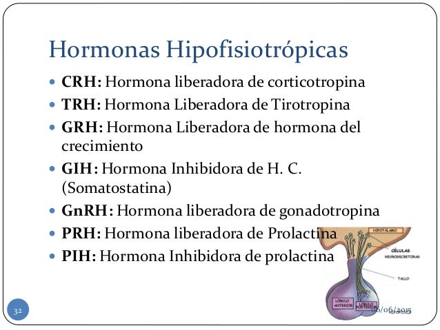 Funciones del Hipotálamo