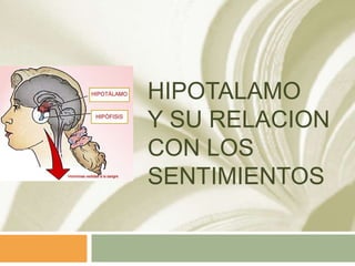 HIPOTALAMO
Y SU RELACION
CON LOS
SENTIMIENTOS

 