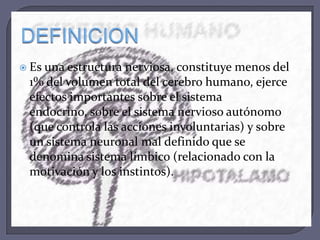  Es

una estructura nerviosa, constituye menos del
1% del volumen total del cerebro humano, ejerce
efectos importantes sobre el sistema
endocrino, sobre el sistema nervioso autónomo
(que controla las acciones involuntarias) y sobre
un sistema neuronal mal definido que se
denomina sistema límbico (relacionado con la
motivación y los instintos).

 