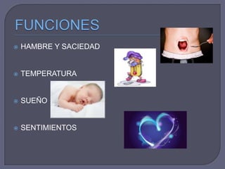 

HAMBRE Y SACIEDAD



TEMPERATURA



SUEÑO



SENTIMIENTOS

 